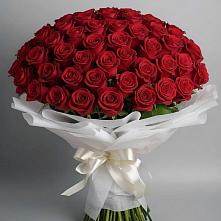 Букет 101 Красная роза Блэк Мэджик в Новочеркасске