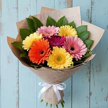 Букет цветов из:  Герберы #REPLACE_PRED# Новочеркасске