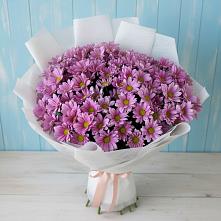 Букет цветов из:  Хризантемы в Новочеркасске
