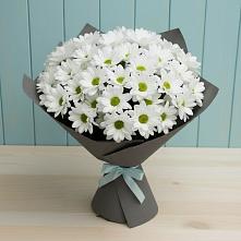 Букет цветов из:  Хризантемы #REPLACE_PRED# Новочеркасске