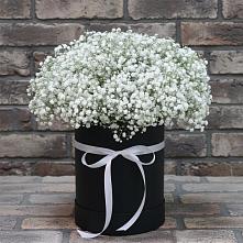 Цветочная композиция из Гипсофила в шляпной коробке #REPLACE_PRED# Новочеркасске