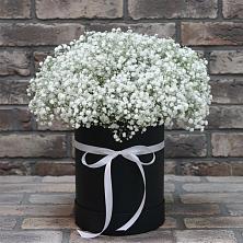 Цветочная композиция из Гипсофила в шляпной коробке в Новочеркасске