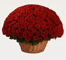 Премиум букет из: Розы в Новочеркасске